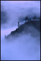 Ridge in fog,  sunrise, Stanislaus  National Forest. California, USA (color)