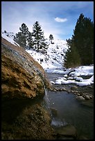 Buckeye Hot Springs. California, USA ( color)