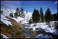 Buckeye Hot Springs in winter. California, USA ( color)