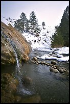 Water floweing over travertine, Buckeye Hot Springs in winter. California, USA ( color)