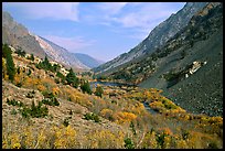 Valley with fall colors, Lundy Canyon, Inyo National Forest. California, USA (color)