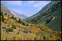 Valley with fall colors, Lundy Canyon, Inyo National Forest. California, USA