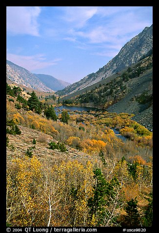 Lundy Canyon in the fall, Inyo National Forest. California, USA