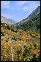 Lundy Canyon in the fall, Inyo National Forest. California, USA (color)