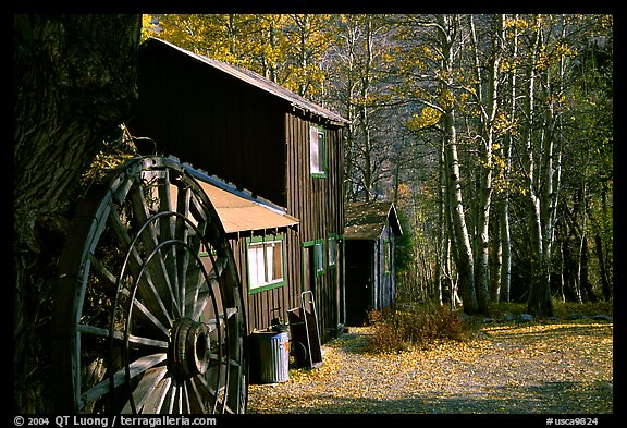 Mountain cabin in fall, Lundy Canyon, Inyo National Forest. California, USA (color)