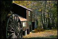 Mountain cabin in fall, Lundy Canyon, Inyo National Forest. California, USA ( color)