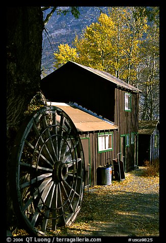 Rustic cabin in autumn, Lundy Canyon, Inyo National Forest. California, USA