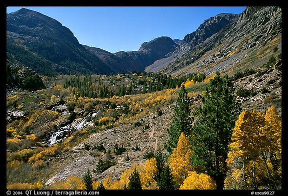 Valley in autumn, Lundy Canyon, Inyo National Forest. California, USA