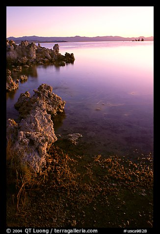 Tufas at sunrise. Mono Lake, California, USA (color)