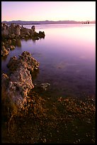 Tufas at sunrise. Mono Lake, California, USA (color)