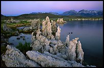 Tufas, South Tufa area,  dawn. Mono Lake, California, USA