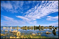 Clouds and Tufa towers, morning. Mono Lake, California, USA