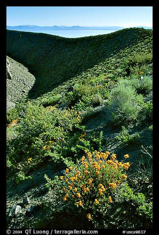 Mono crater. Mono Lake, California, USA (color)