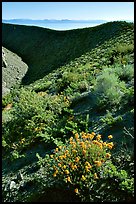 Mono crater. Mono Lake, California, USA