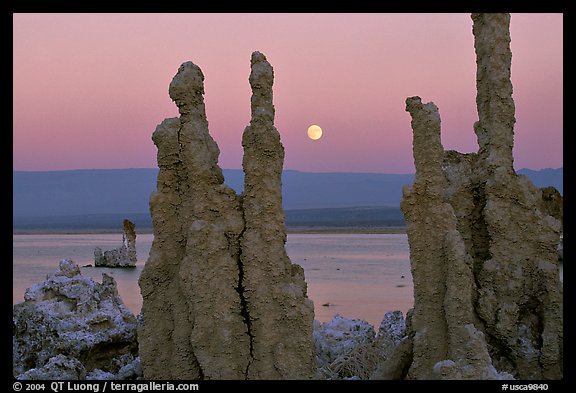 Tufa towers and moonrise, dusk. Mono Lake, California, USA