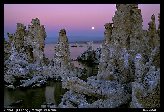 Tufa towers and moon, dusk. Mono Lake, California, USA (color)