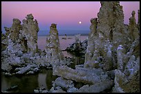 Tufa towers and moon, dusk. Mono Lake, California, USA