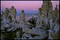 Tufa towers and moon, dusk. Mono Lake, California, USA (color)