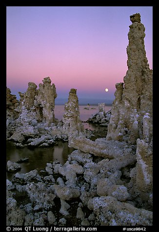 Tufa towers and moon, dusk. Mono Lake, California, USA