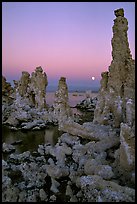 Tufa towers and moon, dusk. Mono Lake, California, USA