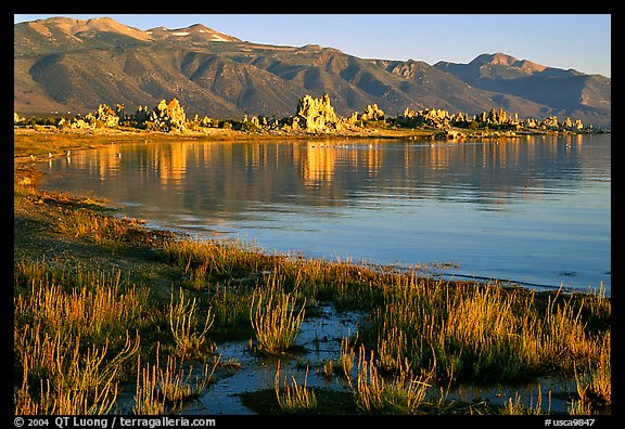 Grasses, tufa, and mountains, early morning. Mono Lake, California, USA