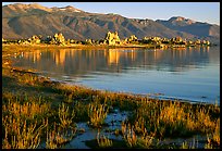 Grasses, tufa, and mountains, early morning. Mono Lake, California, USA