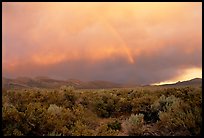 Rainbow and storm over Mono Basin, evening. Mono Lake, California, USA (color)