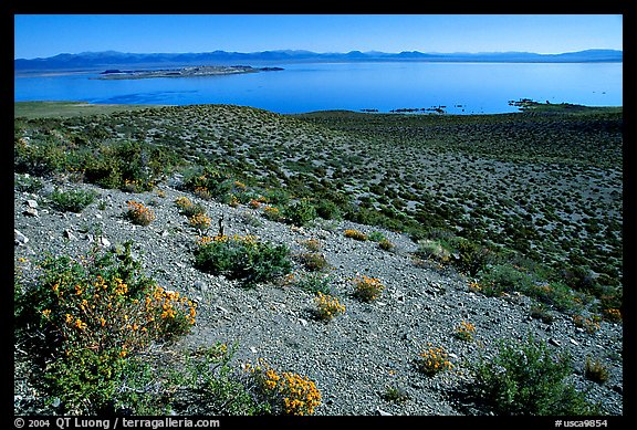 Lake seen from Mono crater. Mono Lake, California, USA