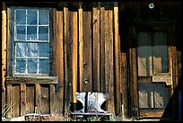 Window and wall, Ghost Town, Bodie State Park. California, USA ( color)