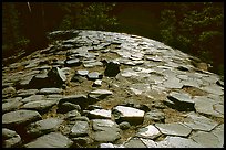 Hexagonal basalt tiles, afternoon, Devils Postpile National Monument. California, USA (color)