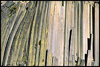 Hexagonal basalt colums, afternoon,  Devils Postpile National Monument. California, USA ( color)
