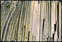 Hexagonal basalt colums, afternoon,  Devils Postpile National Monument. California, USA