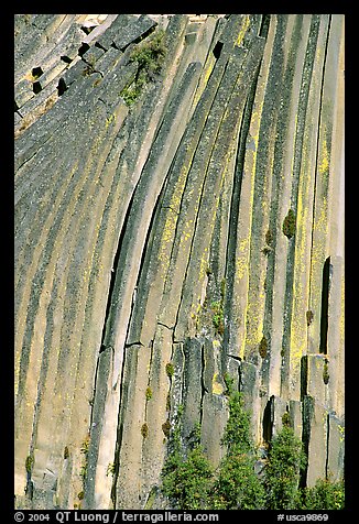 Columns of  basalt, afternoon,  Devils Postpile National Monument. California, USA