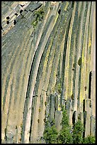 Columns of  basalt, afternoon,  Devils Postpile National Monument. California, USA (color)