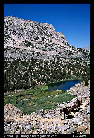 Horseback rider above Long Lake, Inyo National Forest. California, USA (color)