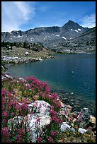 Indian Paintbrush and Saddlebag Lake, Inyo National Forest. California, USA ( color)