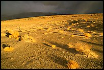 Basin with sage, Inyo Mountains  in stormy weather, late afternoon. California, USA ( color)