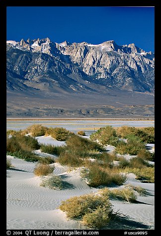 Sierra Nevada Range rising abruptly above Owens Valley. California, USA