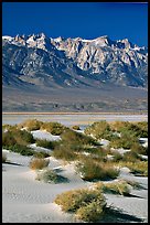 Sierra Nevada Range rising abruptly above Owens Valley. California, USA