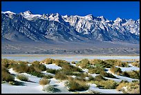 Sierra Nevada mountains rising abruptly above Owens Valley. California, USA (color)