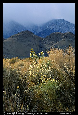 Approaching storm over the Sierra Nevada. California, USA (color)