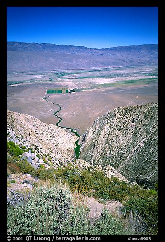 Owens Valley seen from the Sierra Nevada mountains. California, USA (color)