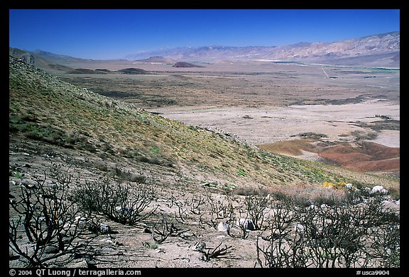 Owens Valley seen from the Sierra Nevada mountains. California, USA