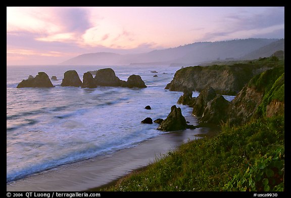 Coast with sea stacks near Rockport. Fort Bragg, California, USA