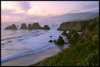 Coast with sea stacks near Rockport. Fort Bragg, California, USA