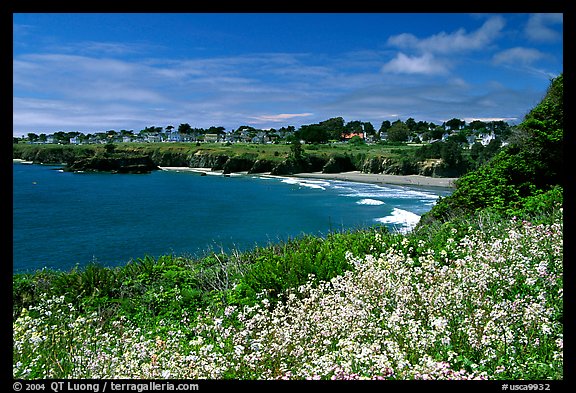 Spring wildflowefrs and Ocean, town on a bluff. Mendocino, California, USA