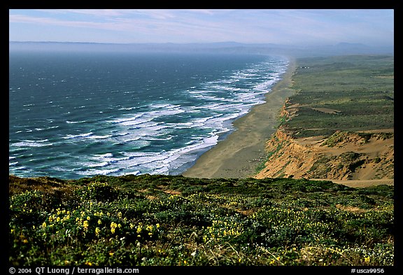 Point Reyes Beach, afternoon. Point Reyes National Seashore, California, USA (color)