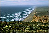 Point Reyes Beach, afternoon. Point Reyes National Seashore, California, USA ( color)