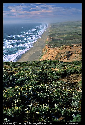 Point Reyes Beach, afternoon. Point Reyes National Seashore, California, USA (color)