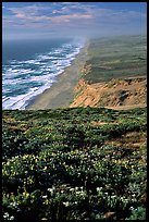 Point Reyes Beach, afternoon. Point Reyes National Seashore, California, USA ( color)